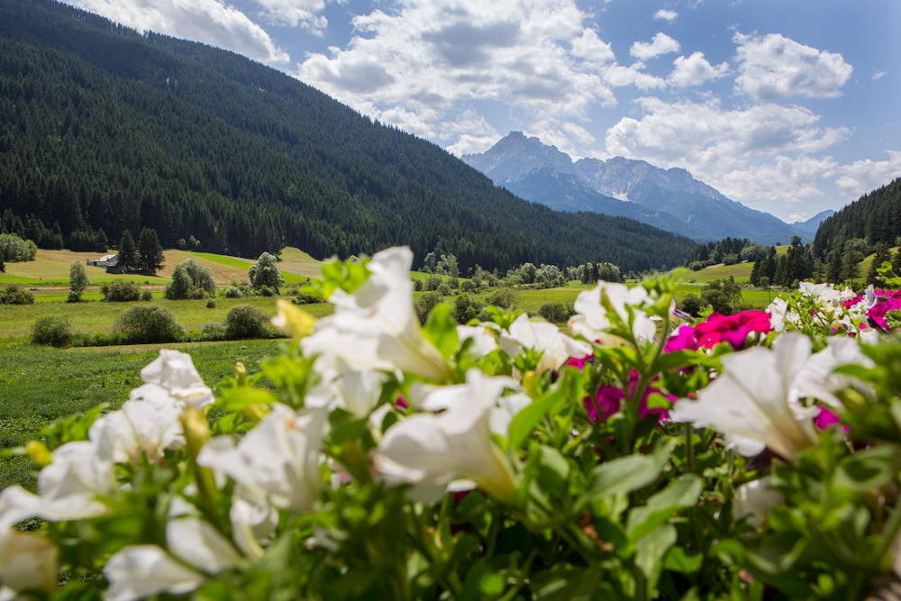 Parggenhof Villa San Candido Exterior photo